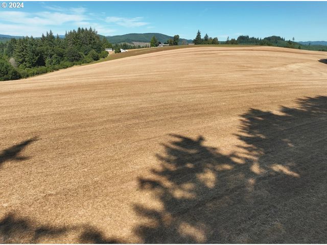 45035 Nw STAR St, Banks, OR 97106