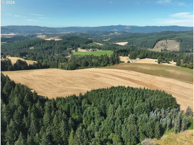 45035 Nw STAR St, Banks, OR 97106