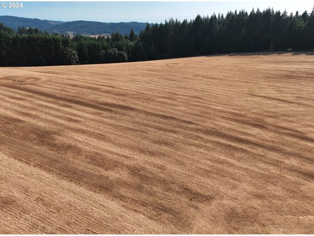 45035 Nw STAR St, Banks, OR 97106