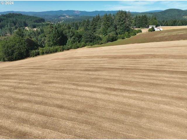 45035 Nw STAR St, Banks, OR 97106