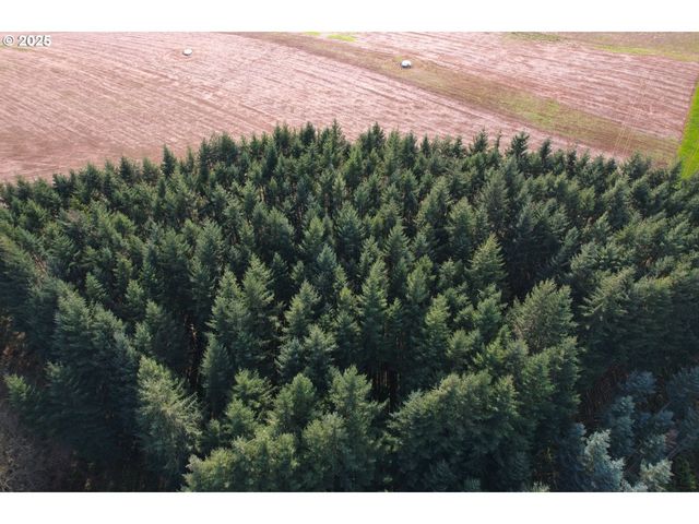 45035 Nw STAR St, Banks, OR 97106