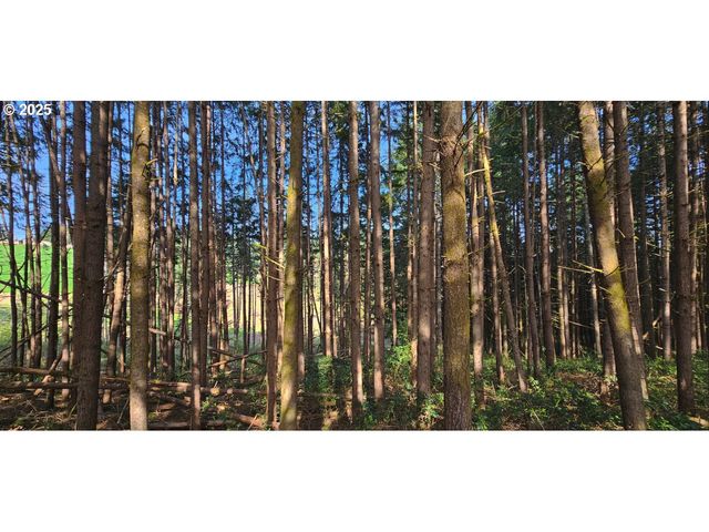 45035 Nw STAR St, Banks, OR 97106
