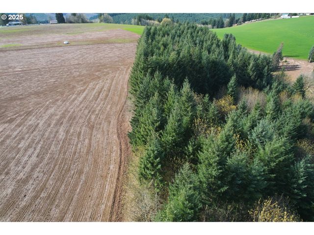 45035 Nw STAR St, Banks, OR 97106