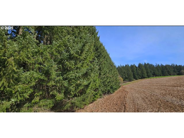 45035 Nw STAR St, Banks, OR 97106