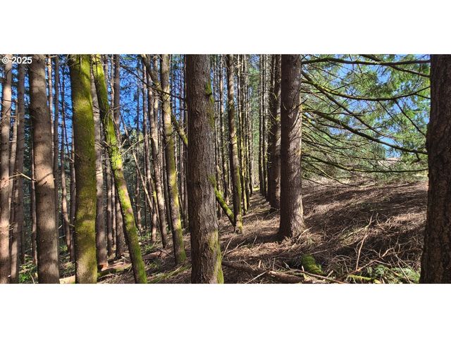 45035 Nw STAR St, Banks, OR 97106