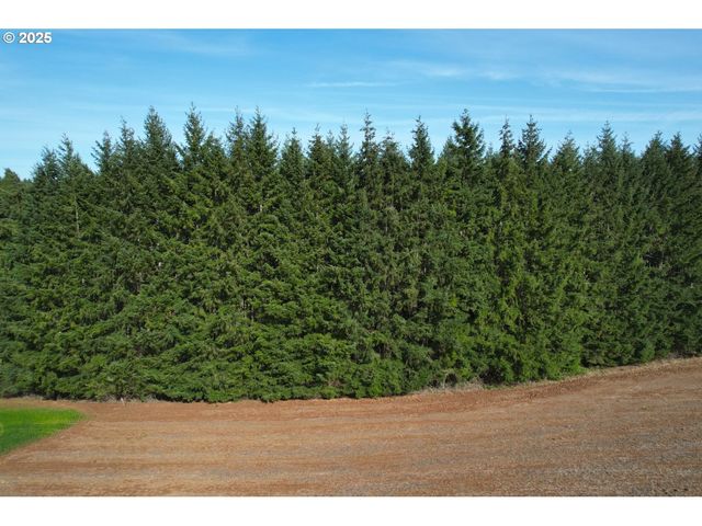 45035 Nw STAR St, Banks, OR 97106