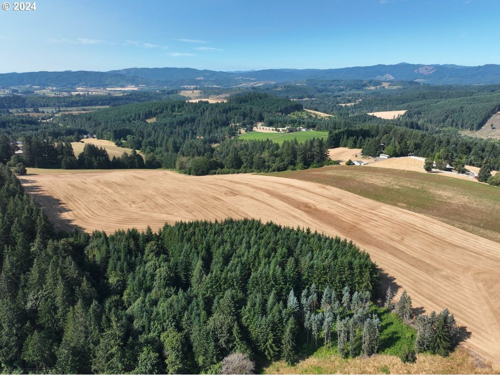 45035 Nw STAR St, Banks, OR 97106