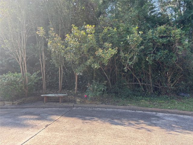 901 Longmire Rd, Conroe, TX 77304
