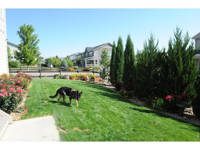 955 Grenville Cir, Erie, CO 80516