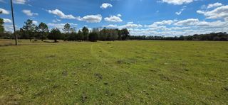 5.8 Acres Nobles Rd Lot 3, Cottonwood, AL 36320