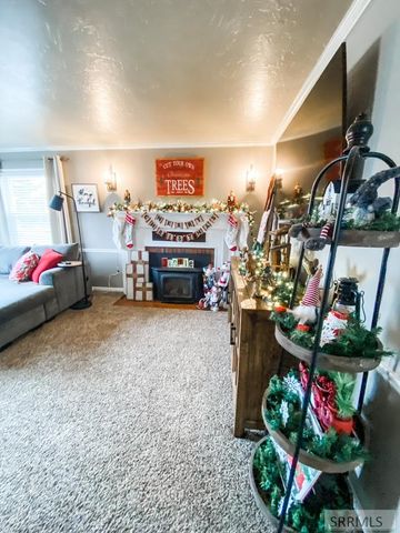 838 N 450 E, Firth, ID 83236