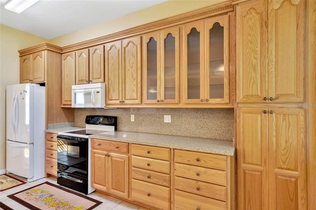 503 ANISE COURT, Kissimmee, FL 34759