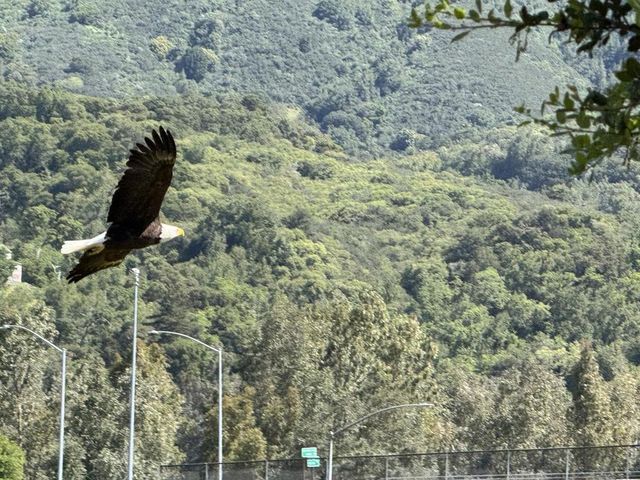 18300 Lakeview Court, Los Gatos, CA 95033