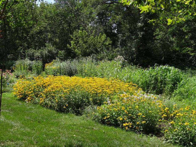 215 Wildflower Lane, La Grange, IL 60525