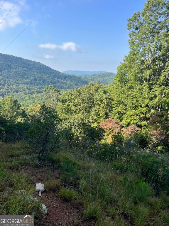 0 Tuckaway Lane, Clayton, GA 30525 — photo 4