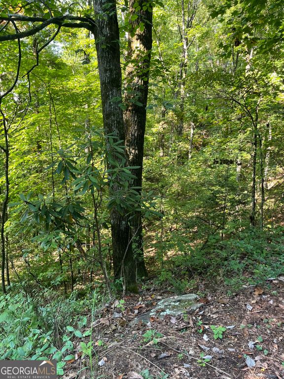 0 Tuckaway Lane, Clayton, GA 30525 — photo 5