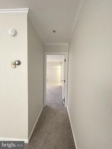 12401 LUSBYS LN, Brandywine, MD 20613