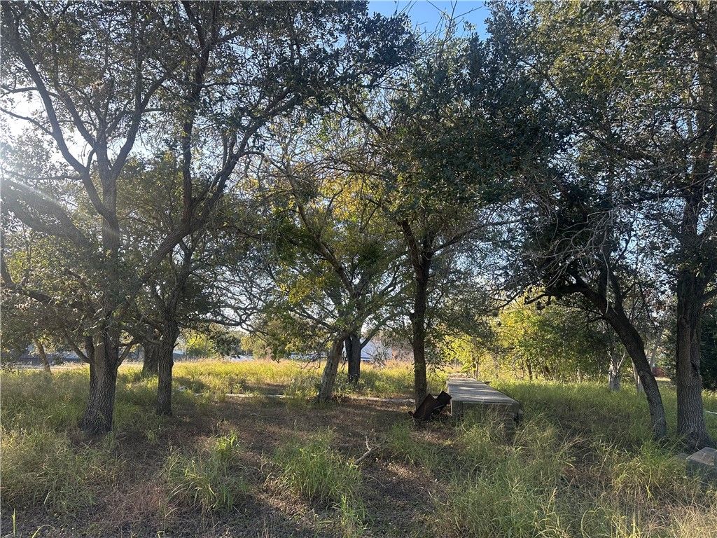 313 Burton, Woodsboro, TX 78393 — exterior