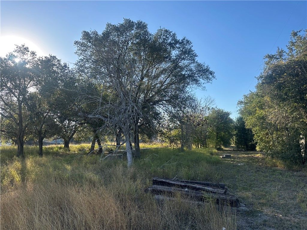 313 Burton, Woodsboro, TX 78393 — photo 2