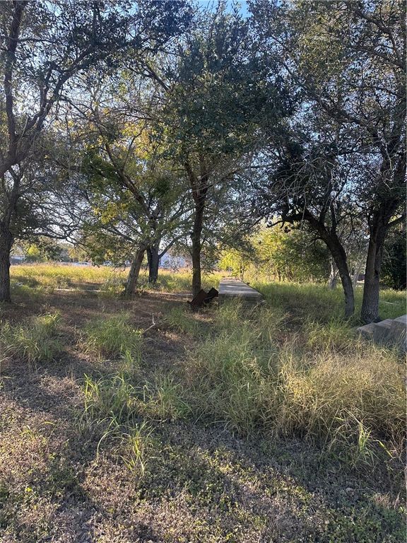 313 Burton, Woodsboro, TX 78393 — photo 3