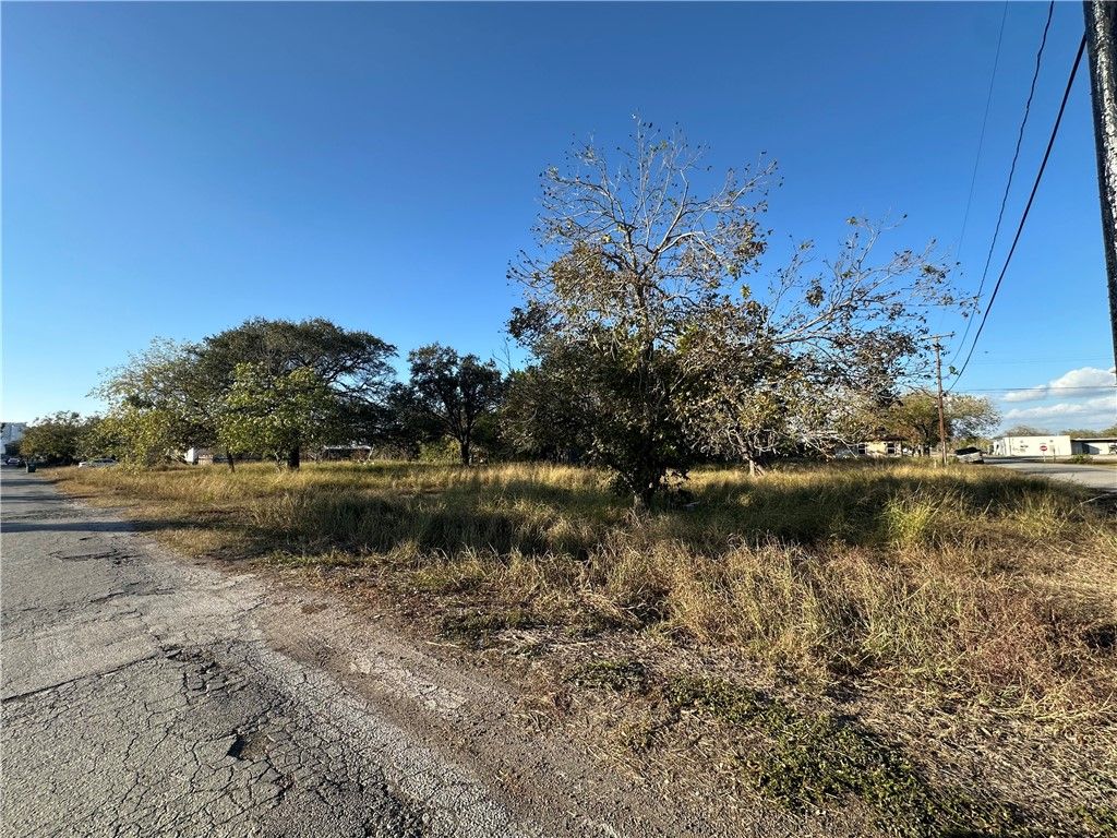 313 Burton, Woodsboro, TX 78393 — photo 4