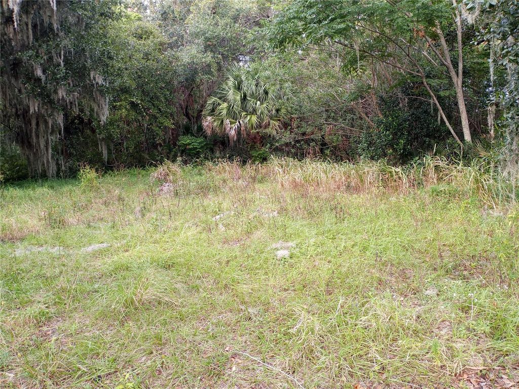 Image 2 of property listing at CARVER STREET, Mims, FL 32754