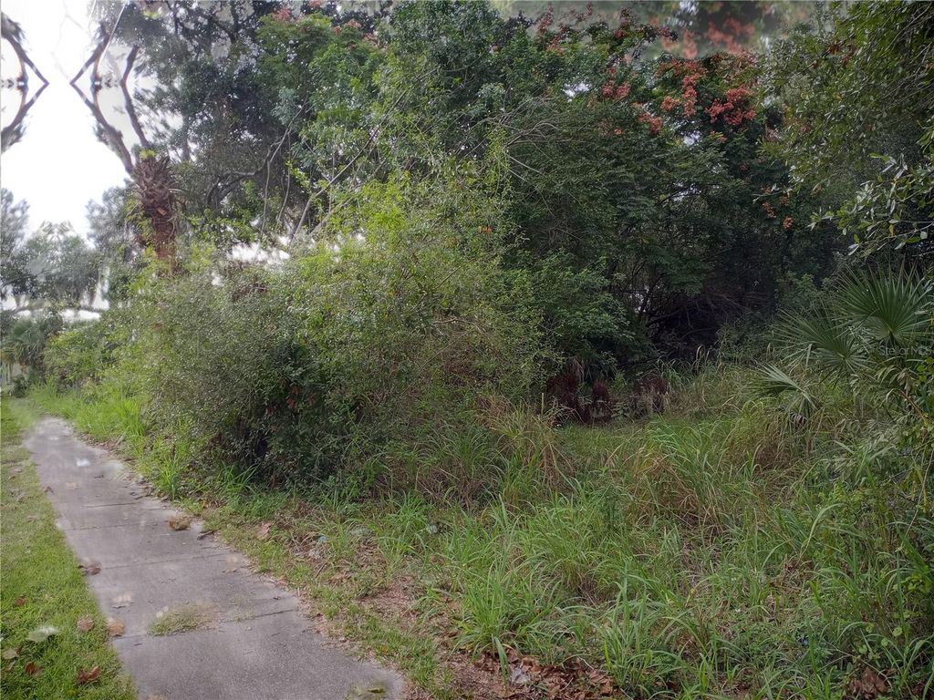 Image 3 of property listing at CARVER STREET, Mims, FL 32754