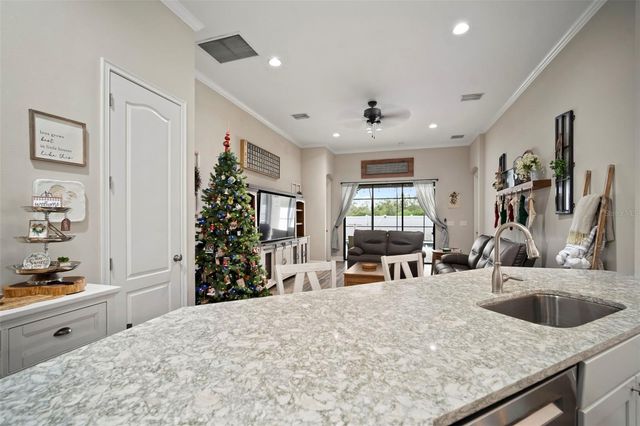 11223 PADDOCK MANOR AVENUE, Riverview, FL 33569