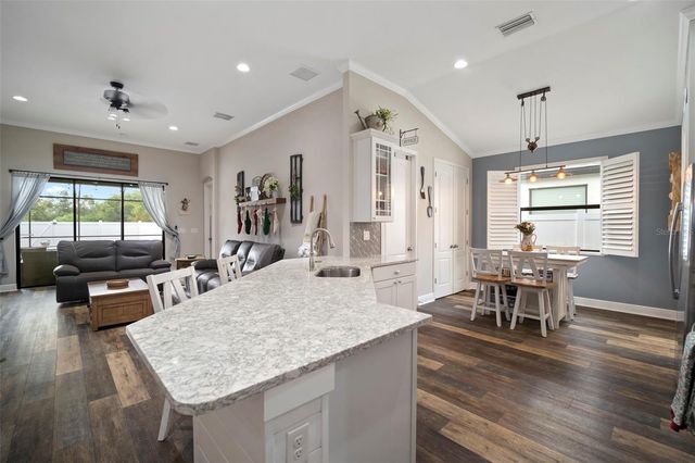 11223 PADDOCK MANOR AVENUE, Riverview, FL 33569