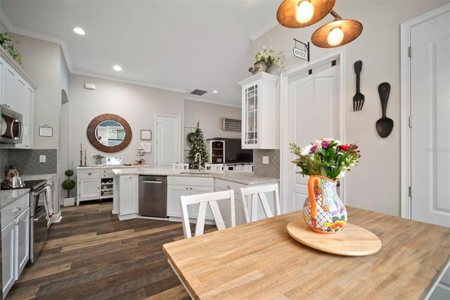 11223 PADDOCK MANOR AVENUE, Riverview, FL 33569