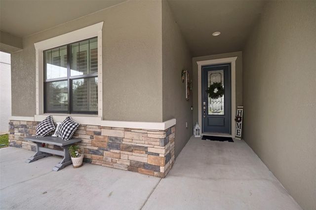 11223 PADDOCK MANOR AVENUE, Riverview, FL 33569