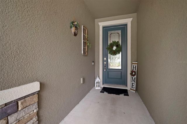 11223 PADDOCK MANOR AVENUE, Riverview, FL 33569