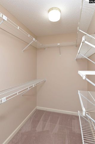 217 Timberlake Drive, Chapin, SC 29036