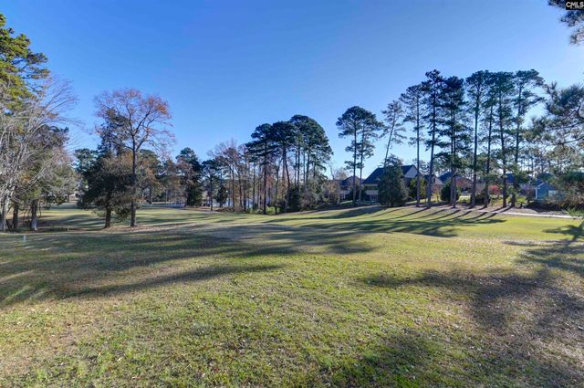 217 Timberlake Drive, Chapin, SC 29036