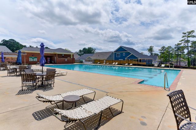 217 Timberlake Drive, Chapin, SC 29036