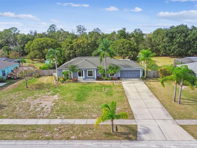 12030 COLONIAL ESTATES LANE, Riverview, FL 33579