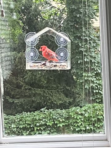 6850 Fox Lake Court, Indianapolis, IN 46278