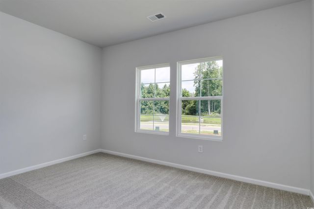 119 Bolsin Ct, Conway, SC 29526