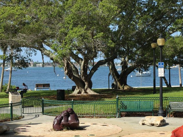 525 N ORANGE AVENUE 204, Sarasota, FL 34236