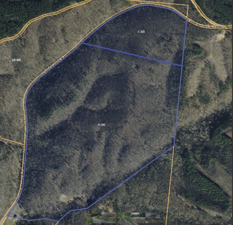 0 Downing Hollow Rd, Waynesboro, TN 38485
