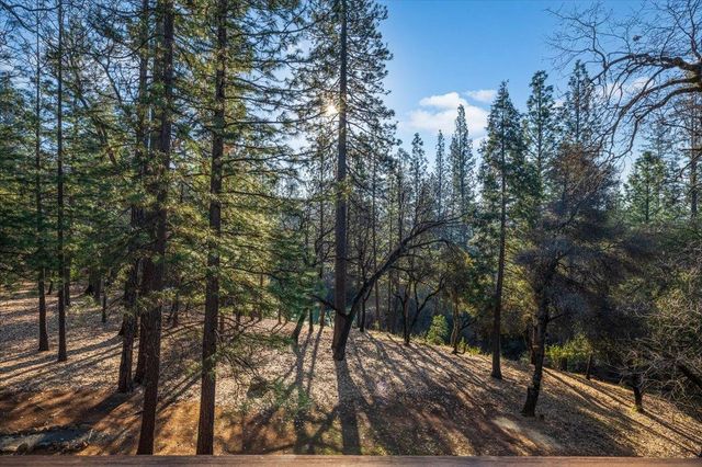 10450 S Ponderosa Way, Rough And Ready, CA 95975