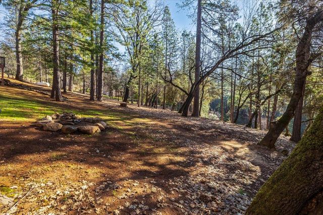 10450 S Ponderosa Way, Rough And Ready, CA 95975