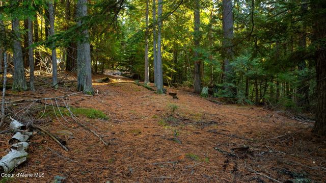 9816 Bottle Bay Rd, Sagle, ID 83860