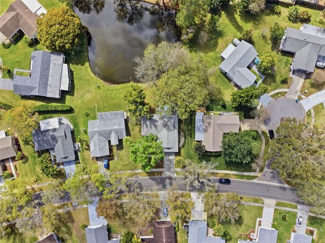 1446 QUEEN ANNE BOULEVARD, Palm Harbor, FL 34684