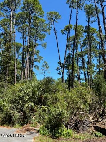 21 Lakeview Lane, Harbor Island, SC 29920