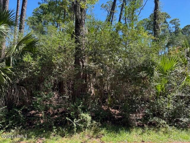 21 Lakeview Lane, Harbor Island, SC 29920