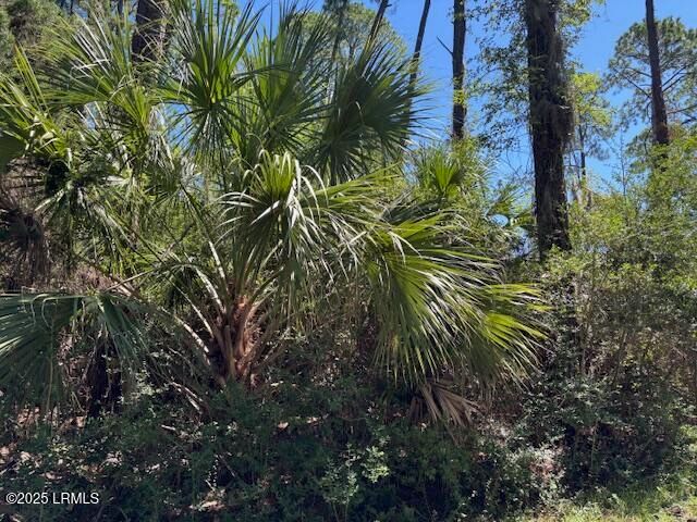 21 Lakeview Lane, Harbor Island, SC 29920