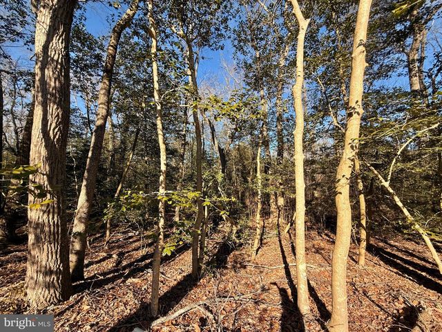 26165 OHNMACHT LN, Georgetown, DE 19947