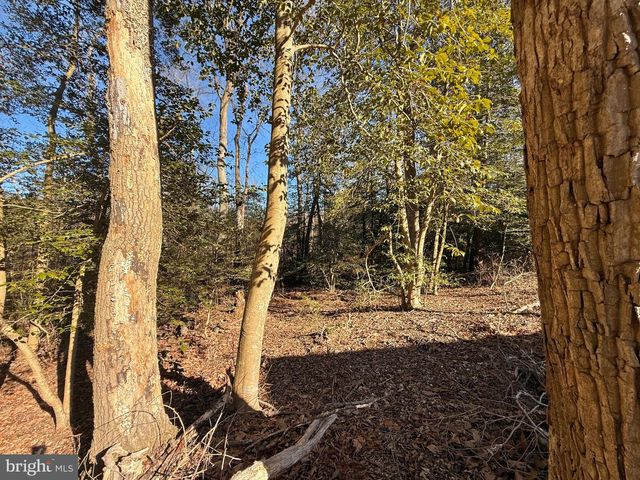 26165 OHNMACHT LN, Georgetown, DE 19947