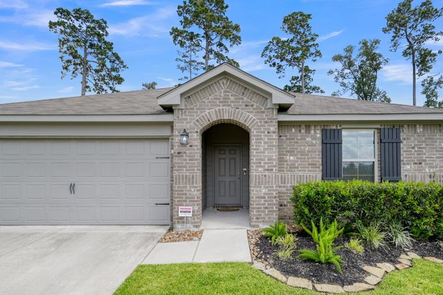 14149 Redwood Forest Trail, Conroe, TX 77384